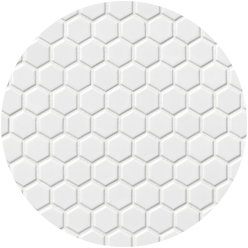 vector
